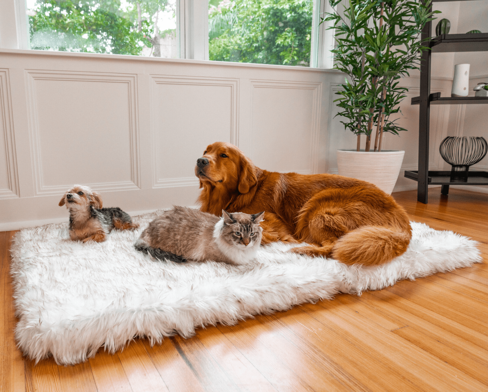 Portable Dog Bed or Mat
